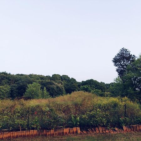 Laforesta By Mahabaleshwar Stay Extérieur photo